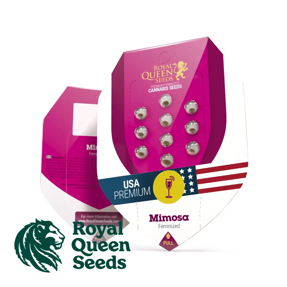 Mimosa Verpackung Pinke Royal Queen Seeds Verpackung Mimosa mit Samen im Blister