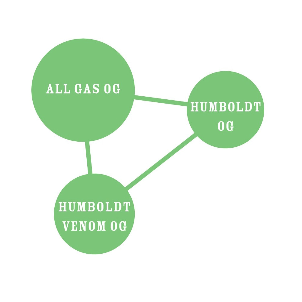 All Gas OG | Feminisierte Hanfsamen von Humboldt Seed
