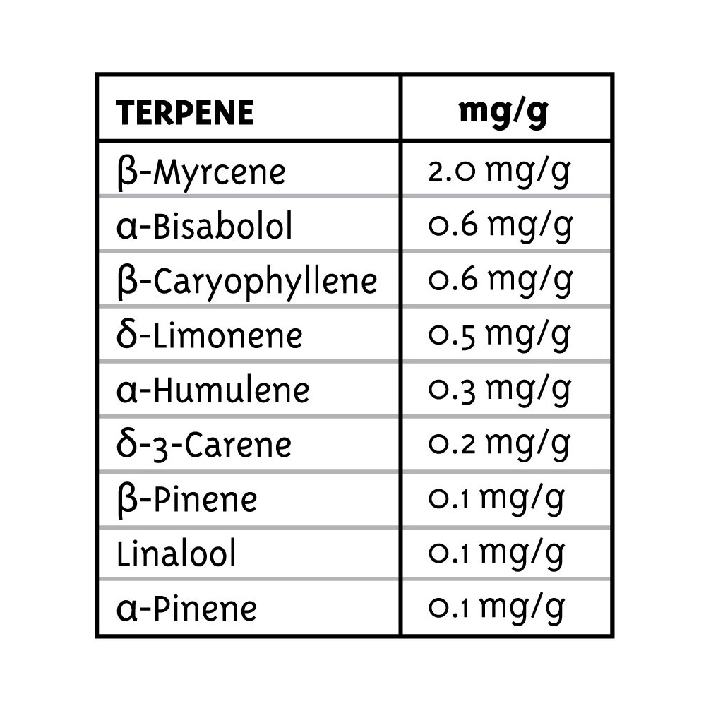 Blueberry Muffin | Feminisierte Hanfsamen von Humboldt Seed