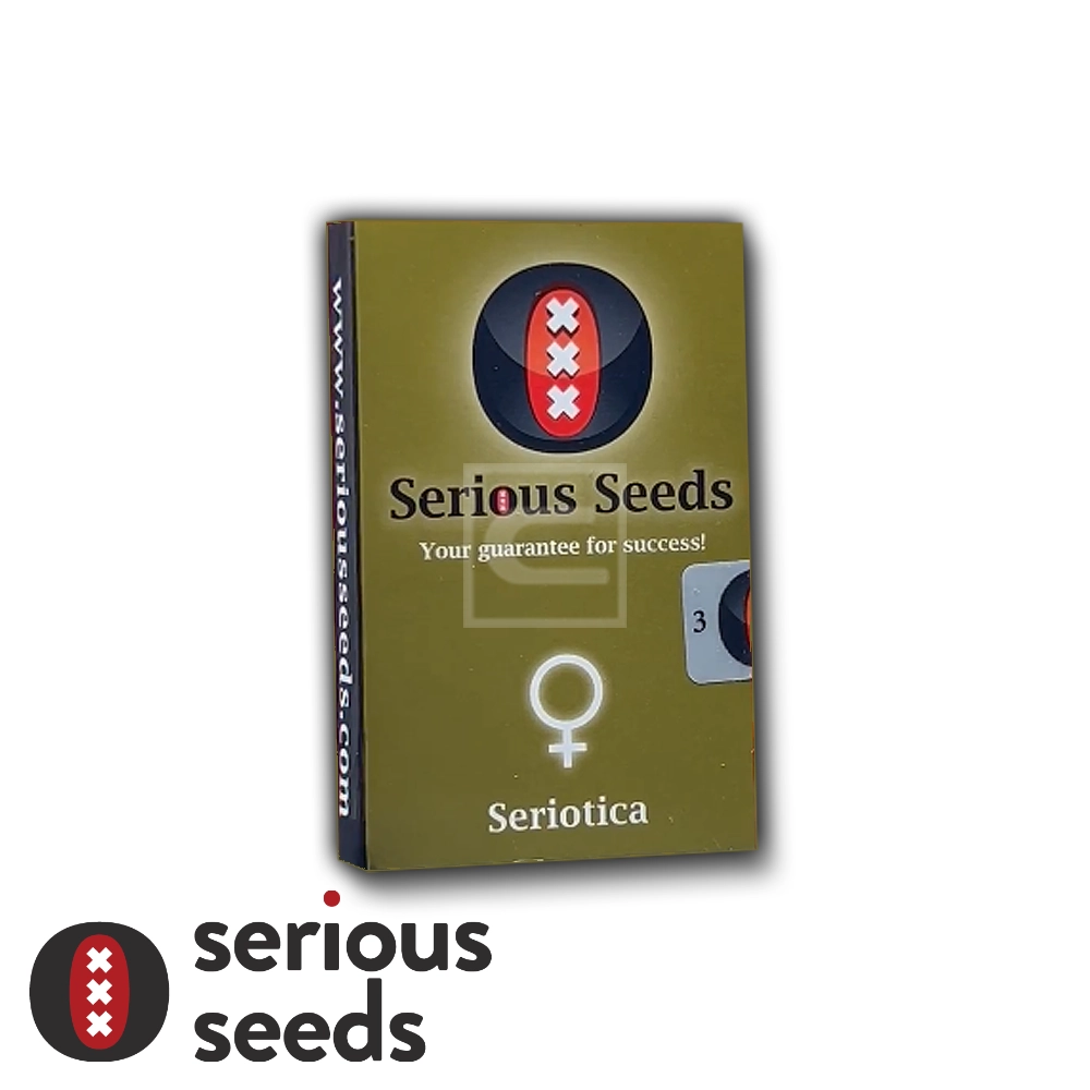 Seriotica Verpackung Goldene Serious Seeds Verpackung Seriotica