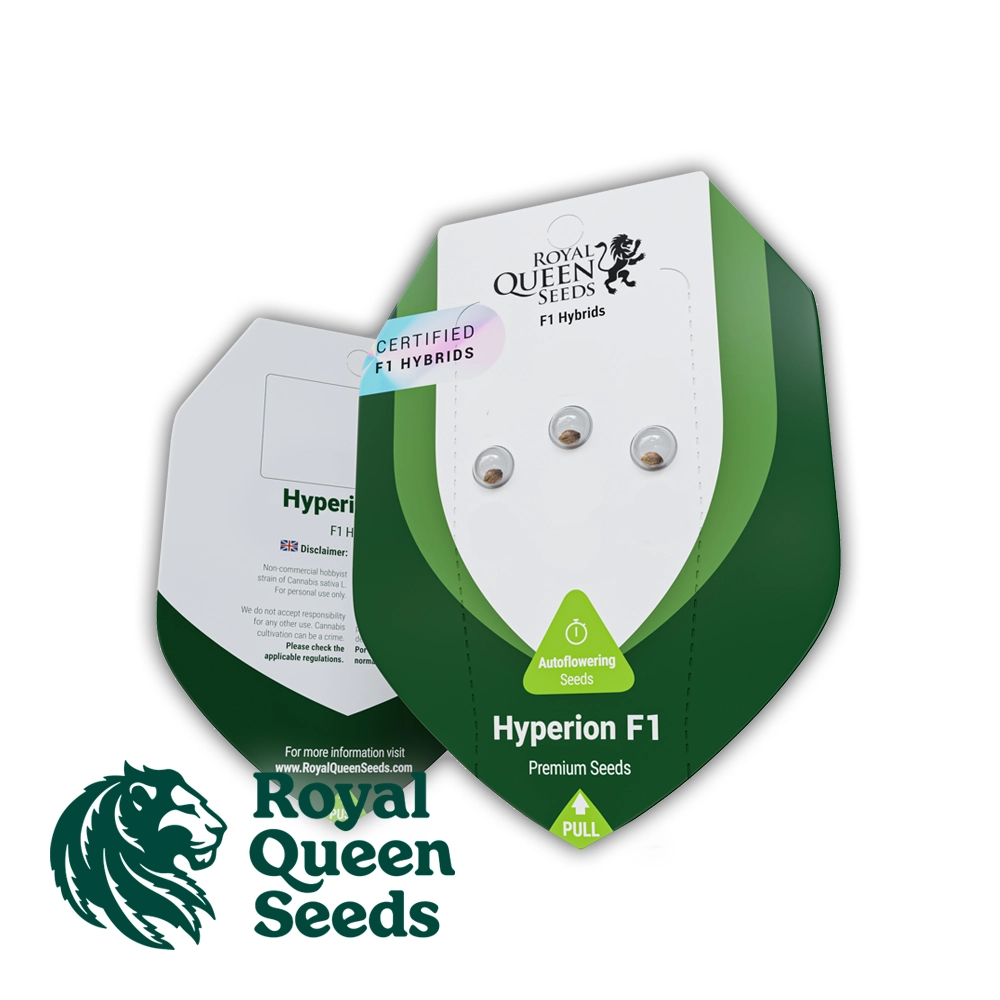 HYPERION F1 | Feminisierte Hanfsamen von Royal Queen Seeds