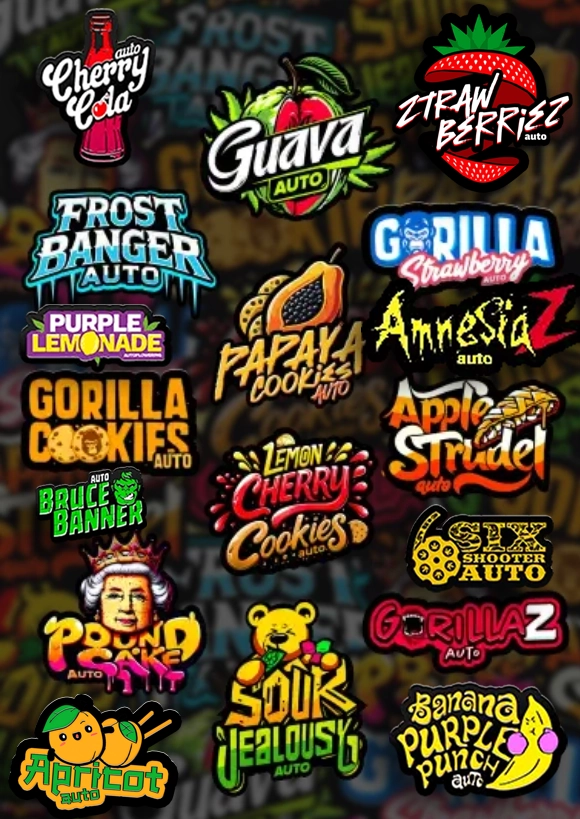 Mix Pack Auto | Autoflowering Cannabissamen von Fast Buds