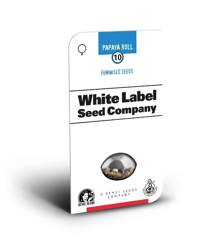 Papaya Roll Verpackung White Label Seed Company Verpackung Papaya Roll mit 10 feminisierten Samen