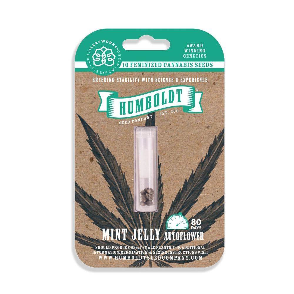 Mint Jelly Auto | Autoflowering Cannabissamen von Humboldt Seed