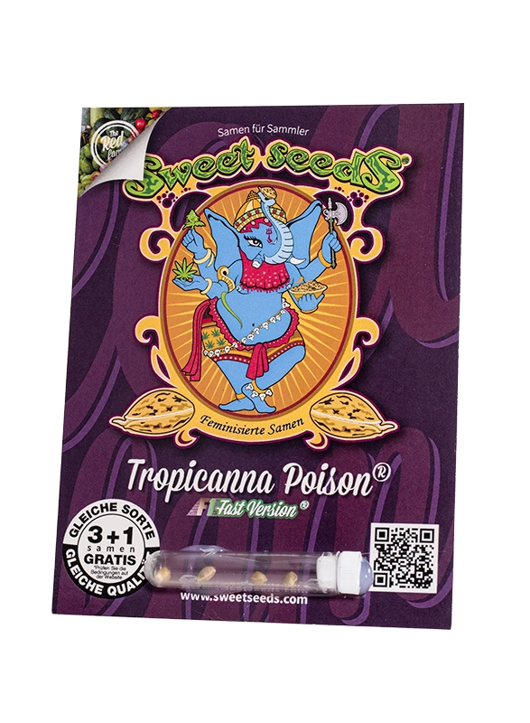 Tropicanna Poison F1 Fast Version | Feminisierte Hanfsamen von Sweet Seeds