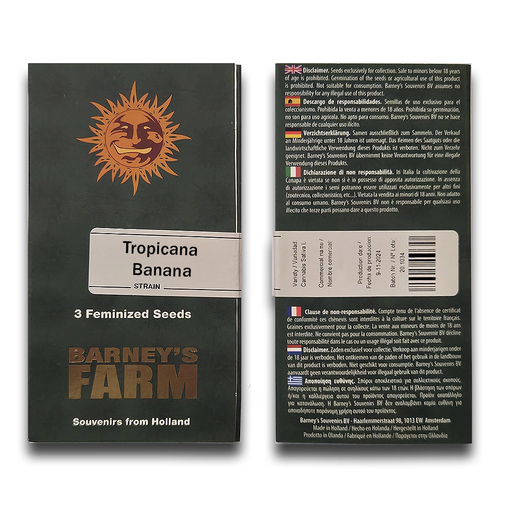 Tropicanna Banana | Feminisierte Hanfsamen von Barney's Farm