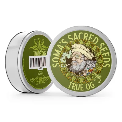 True OG Verpackung Metalldose Somas Sacred Seeds mit der Sorte True OG