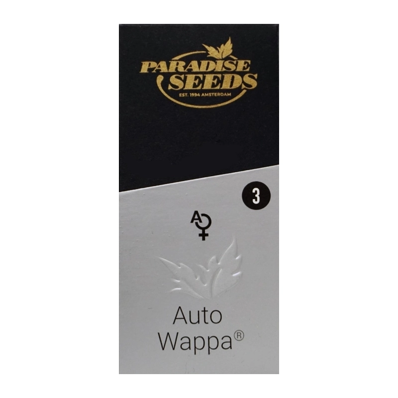 Auto Wappa | Autoflowering Cannabissamen von Paradise Seeds
