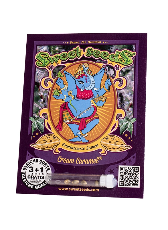 Cream Caramel | Feminisierte Cannabissamen von Sweet Seeds