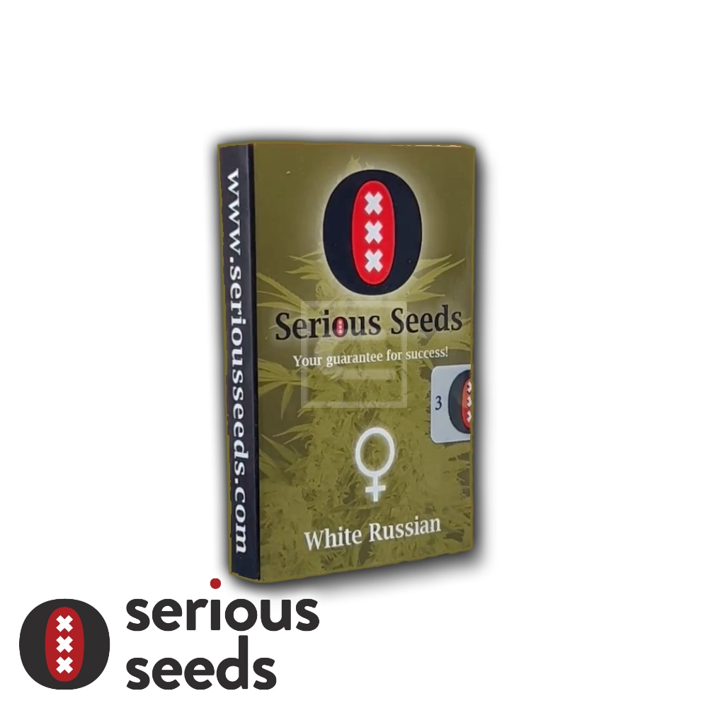 White Russian | Feminisierte Cannabissamen von Serious Seeds