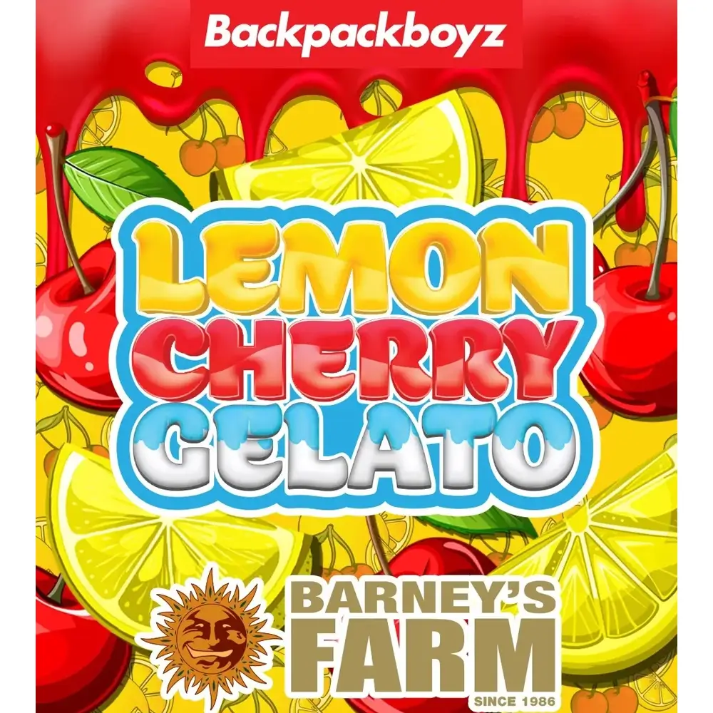 Lemon Cherry Gelato Artwork Sorten-Illustration Lemon Cherry Gelato zur Backpackboyz Collaboration