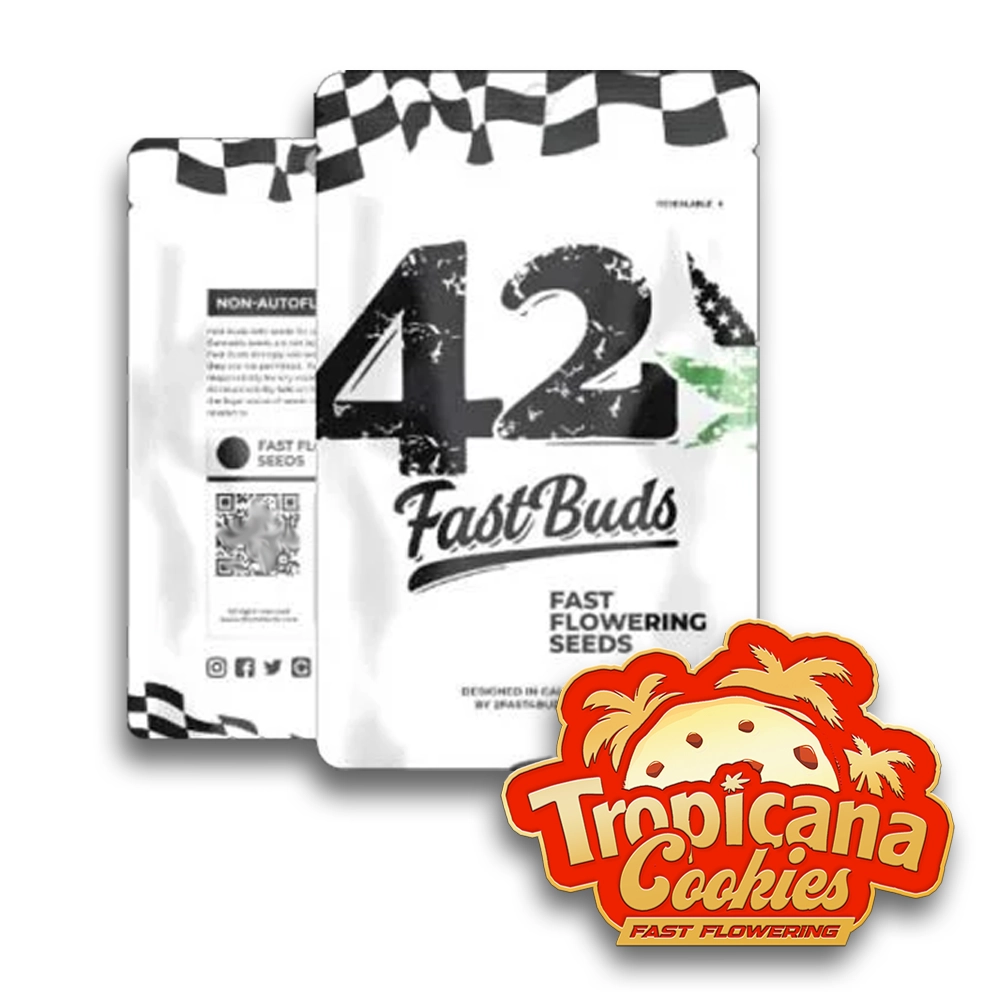 Tropicana Cookies FF | Feminisierte Hanfsamen von Fast Buds