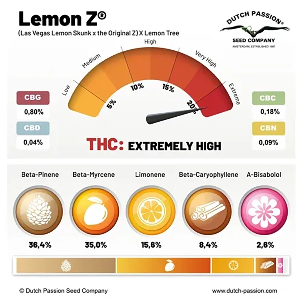 Lemon Z Terpenprofil Grafik zum Terpenprofil und Wirkstoffgehalt von Lemon Z