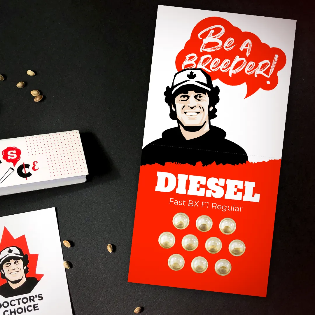 Diesel Fast F1 BX Verpackung Rote Doctors Choice Verpackung Diesel Fast BX F1 Regular mit Samen