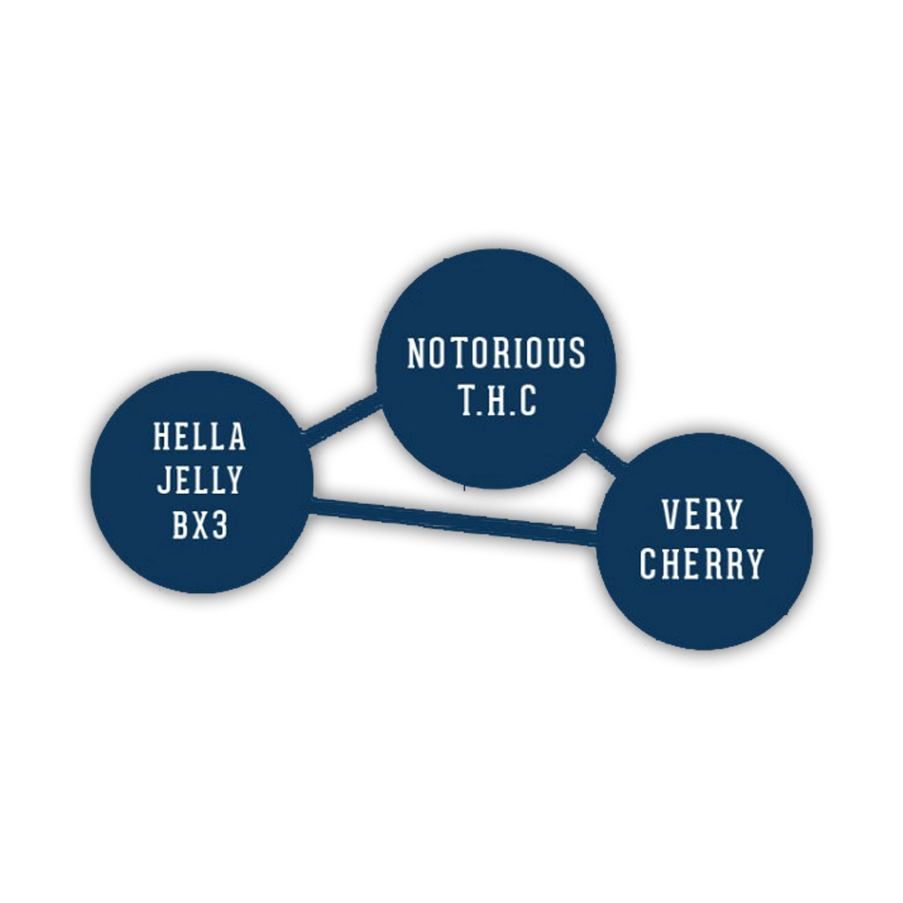 Hella Jelly | Feminisierte Cannabissamen von Humboldt Seed