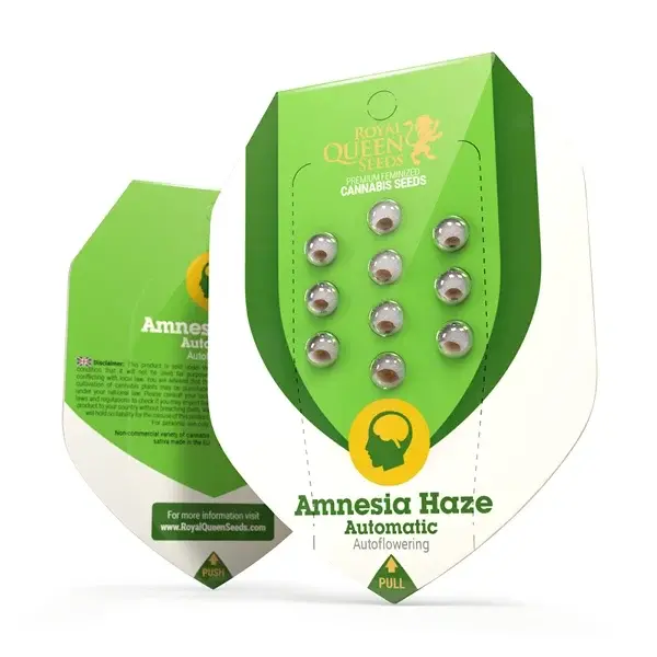 Amnesia-Haze-Auto-Autoflowering-Hanfsamen-von-Royal-Queen-Seeds