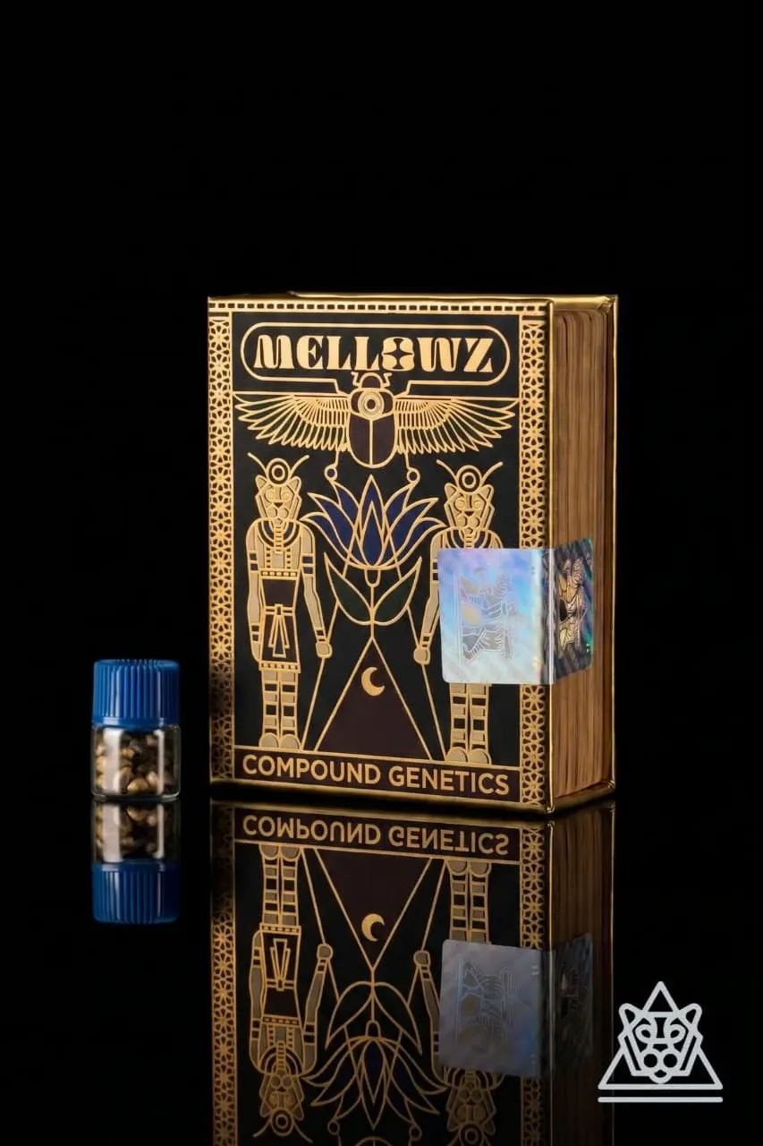 Compound Genetics Mellowz Compound Genetics Verpackung Mellowz Collection mit Samenfläschchen