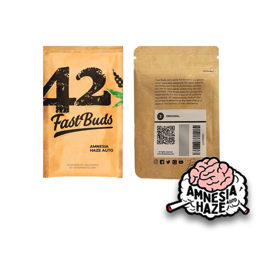 Original Amnesia Haze Auto | Autoflowering Hanfsamen von Fast Buds