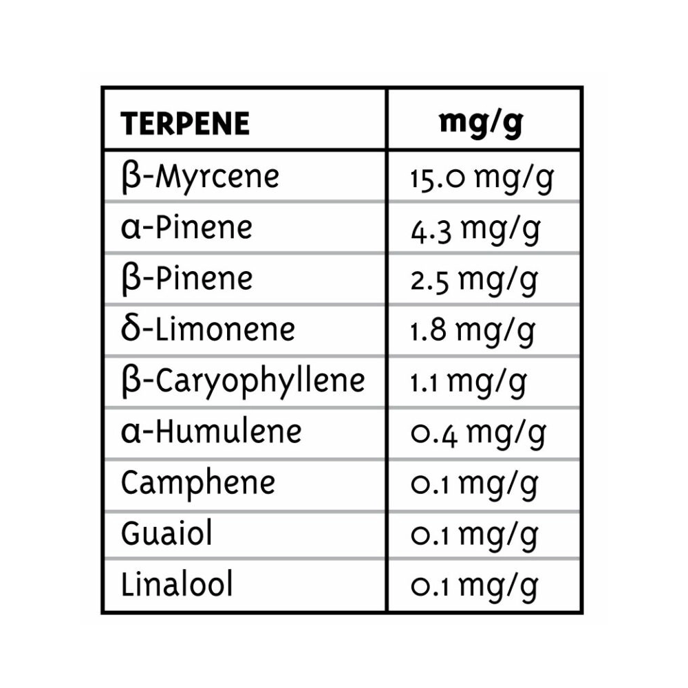 All Gas OG Auto | Autoflowering Hanfsamen von Humboldt Seed