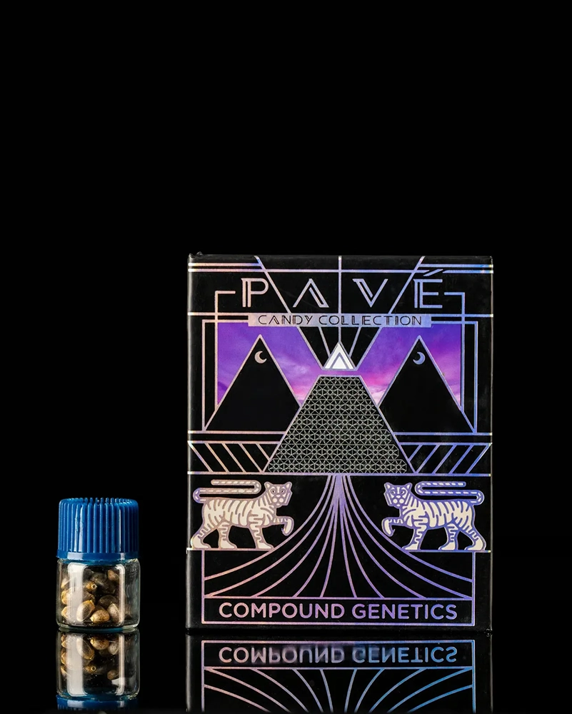 Mora Azul Verpackung Compound Genetics Verpackung Pave mit Samenfläschchen