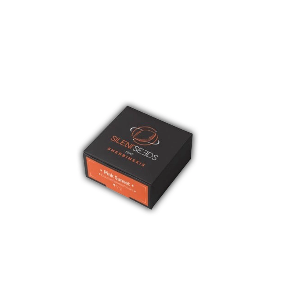 Pink Sunset | Feminisierte Cannabissamen von Silent Seeds