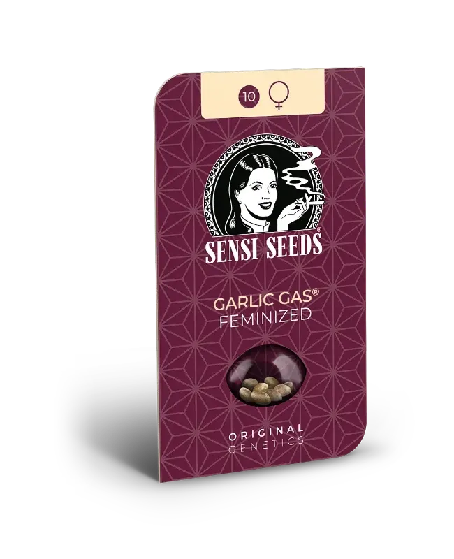Garlic Gas Verpackung Bordeauxrote Sensi Seeds Verpackung Garlic Gas feminisiert