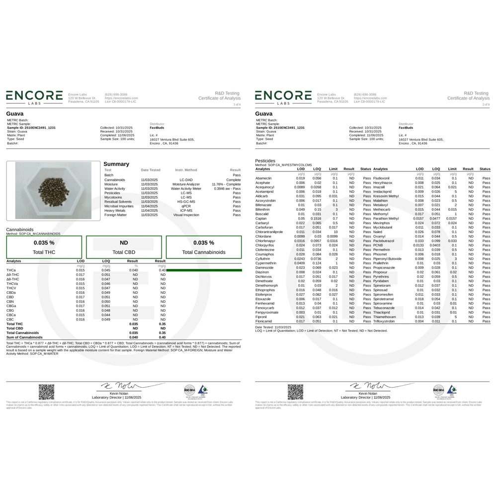 Guava Auto | Autoflowering Cannabissamen von Fast Buds