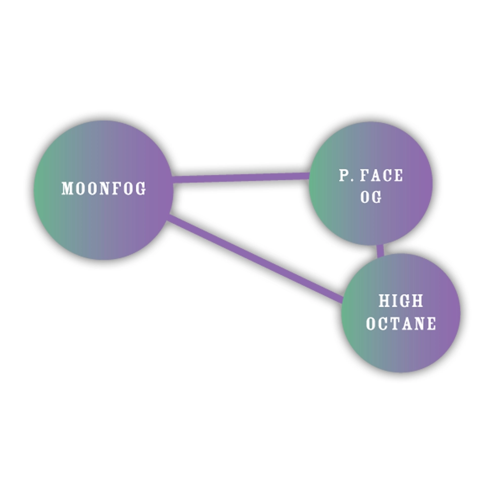 Moon Fog | Feminisierte Cannabissamen von Humboldt Seed