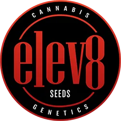 Elev8 Seeds Elev8 Seeds