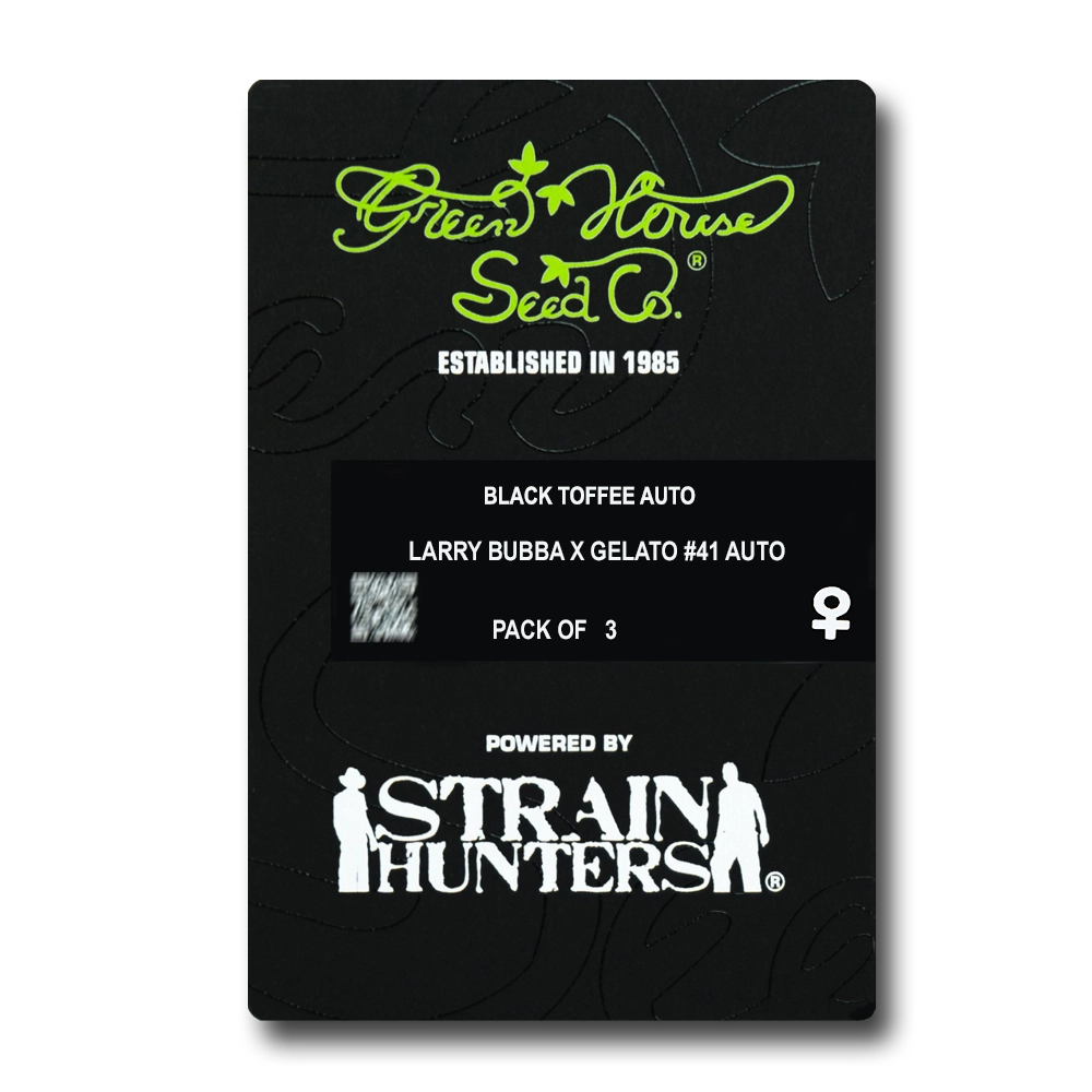 Black Toffee Auto | Autoflowering Hanfsamen von Green House Seeds