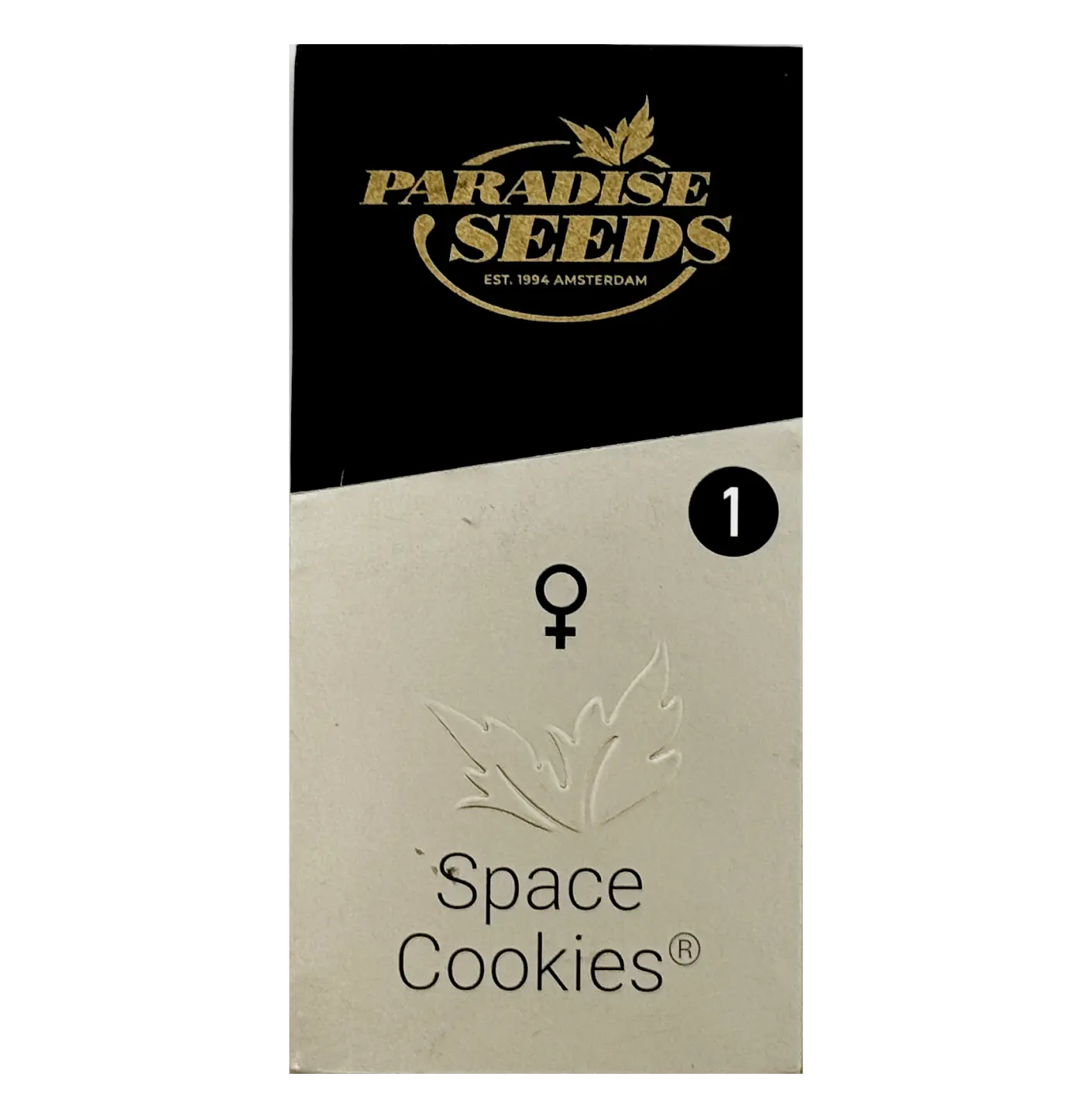 Space Cookies | Feminisierte Hanfsamen von Paradise Seeds