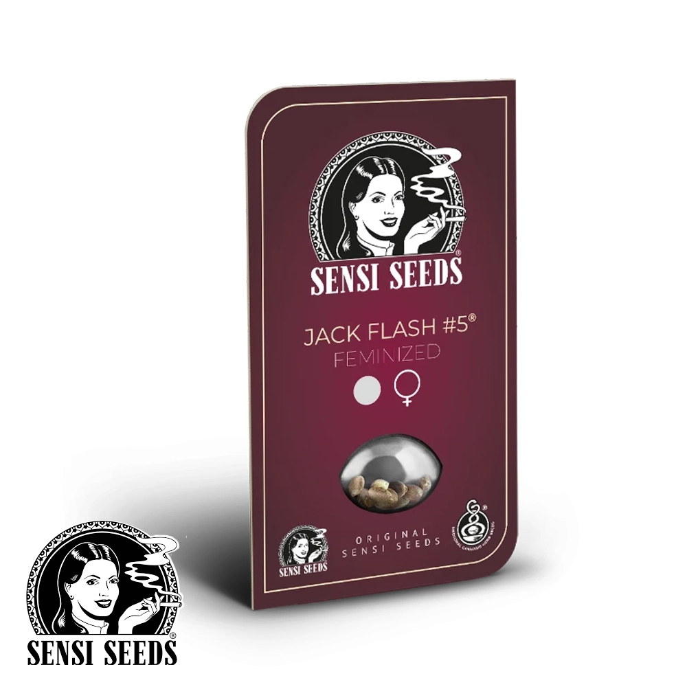 Jack Flash #5 | Feminisierte Cannabissamen von Sensi Seeds