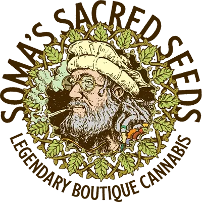 Soma Seeds Soma Seeds