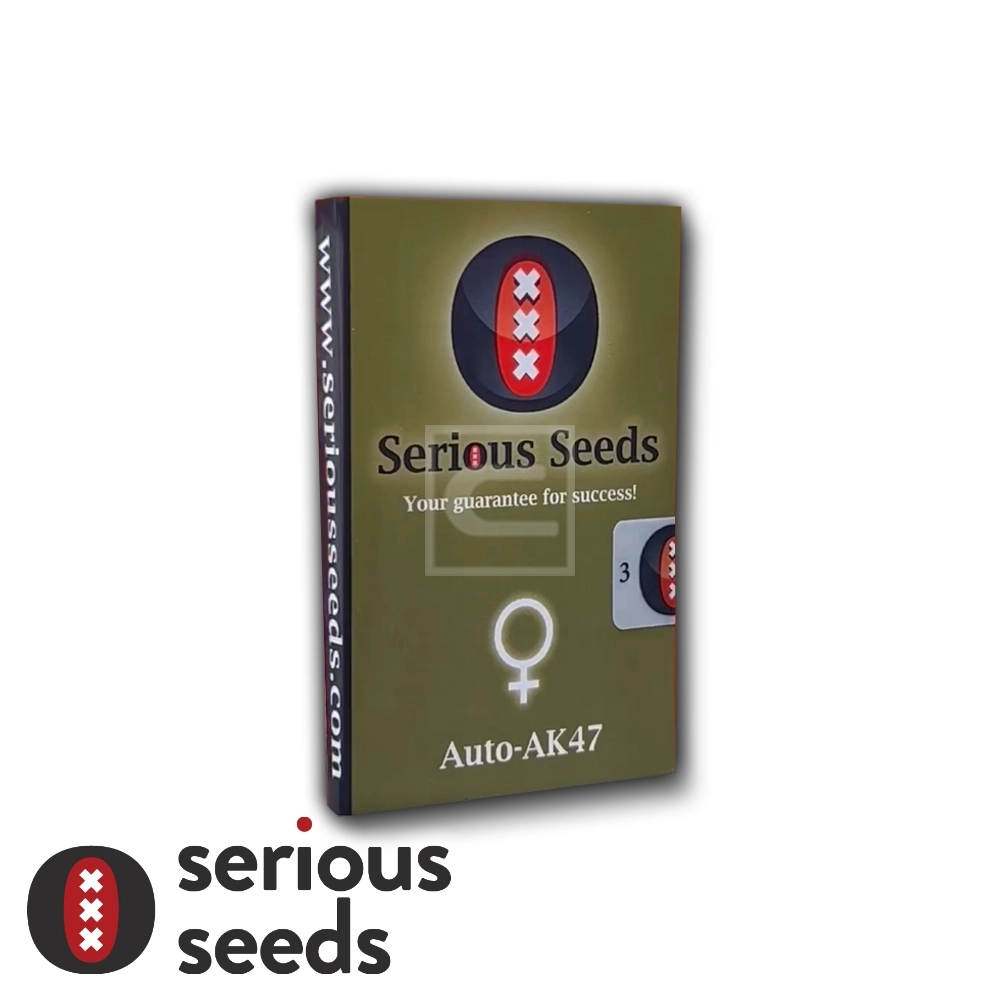 Auto AK-47 | Autoflowering Cannabissamen von Serious Seeds