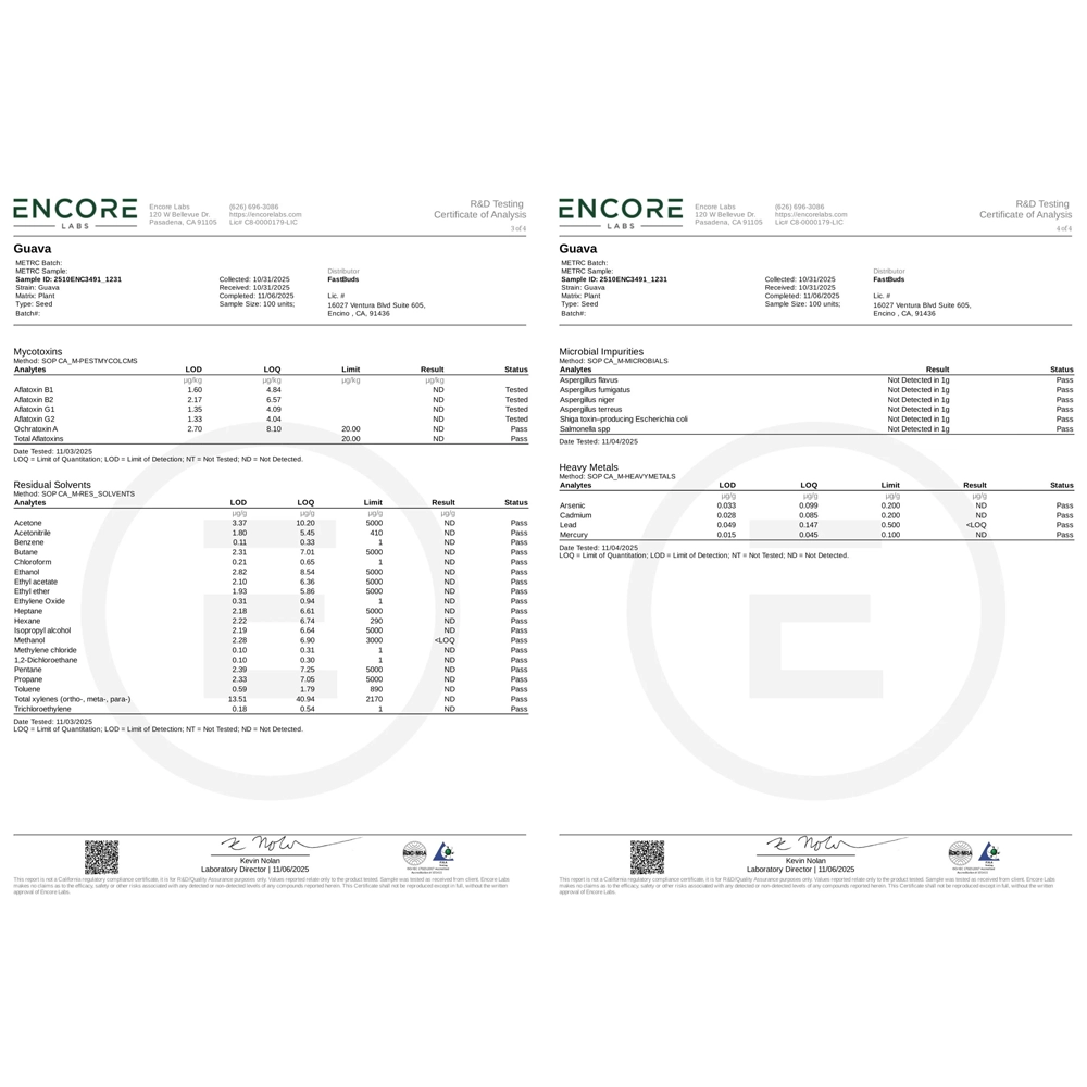 Guava Auto | Autoflowering Cannabissamen von Fast Buds
