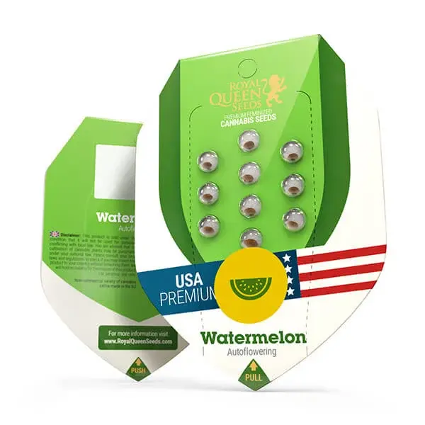 Watermelon Auto | Autoflowering Hanfsamen von Royal Queen Seeds