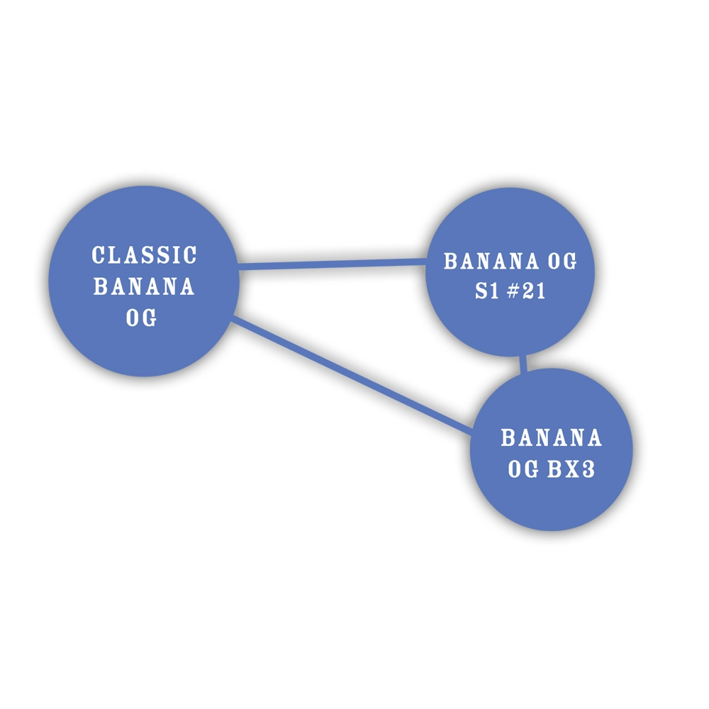 Banana OG | Feminisierte Cannabissamen von Humboldt Seed