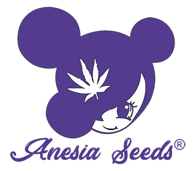 Anesia Seeds Anesia Seeds