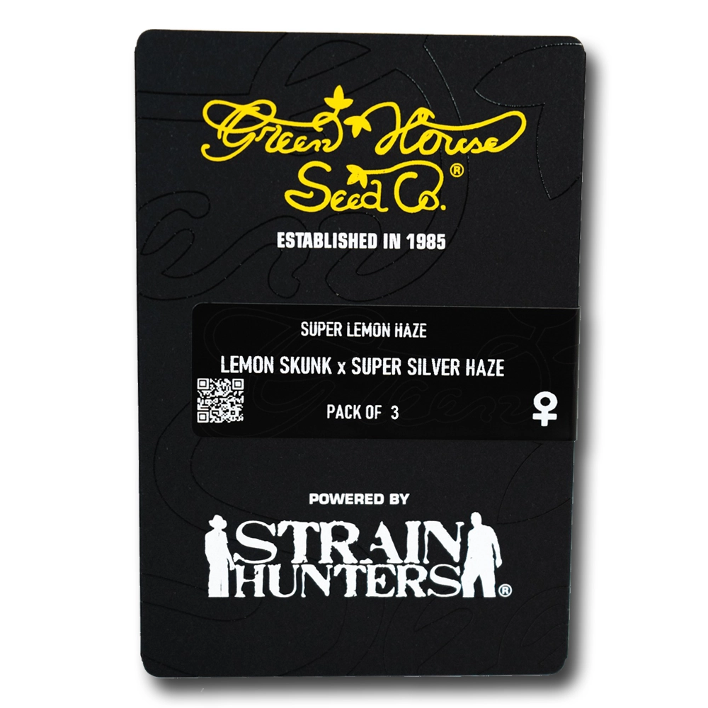 Super Lemon Haze | Feminisierte Hanfsamen von Green House Seeds