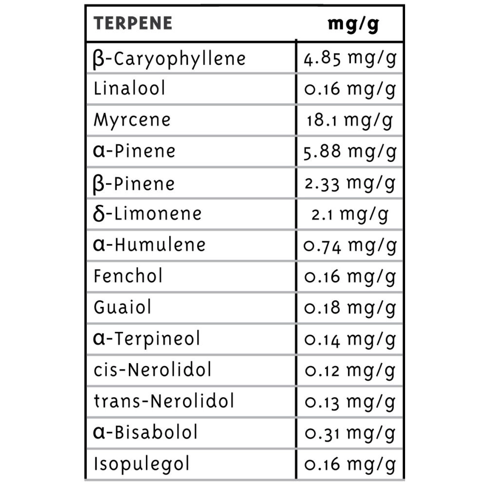 Vanilla Frosting | Feminisierte Cannabissamen von Humboldt Seed
