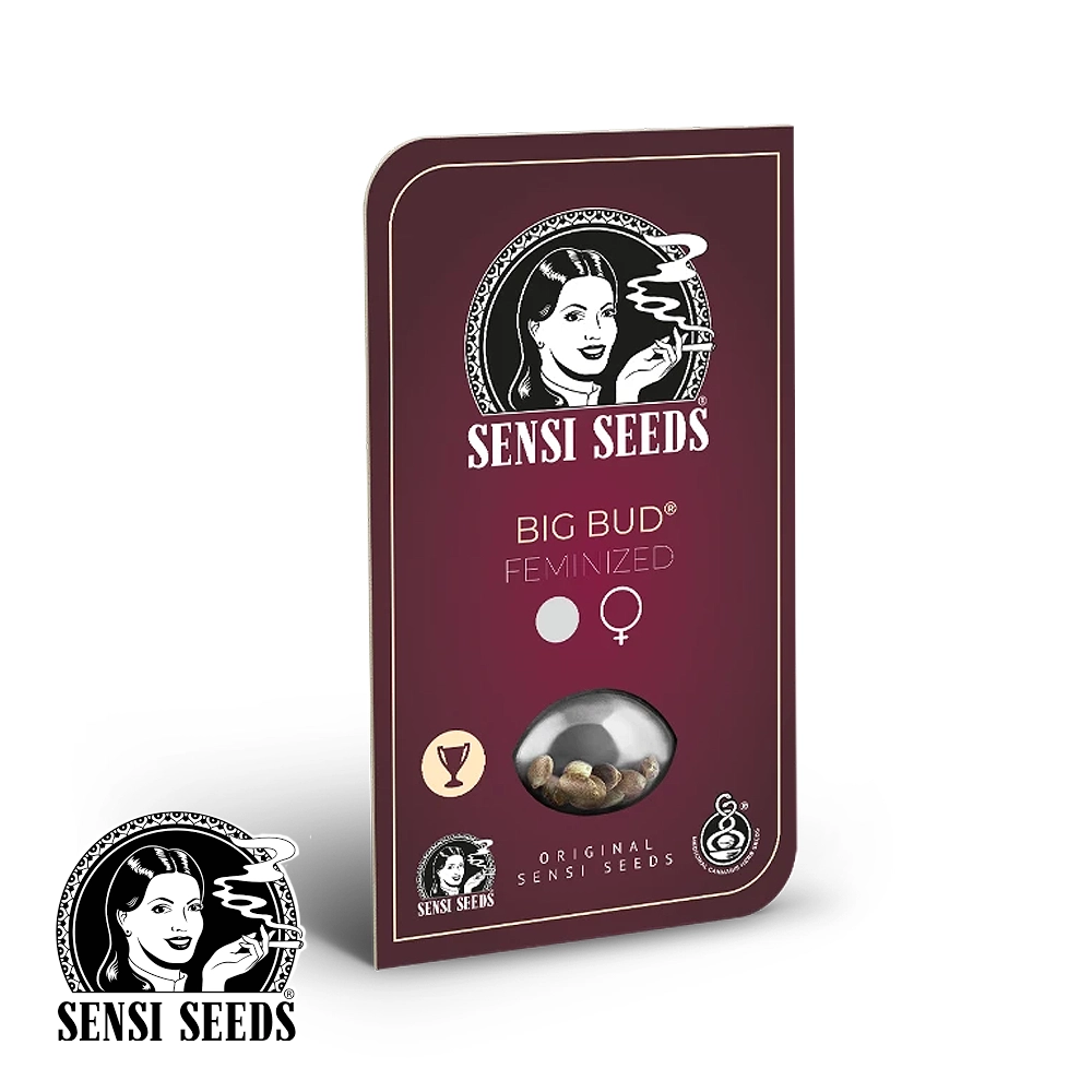 Big Bud | Feminisierte Cannabissamen von Sensi Seeds