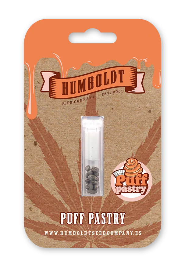 Puff Pastry Verpackung Blisterverpackung Puff Pastry Samen von Humboldt Seed Company