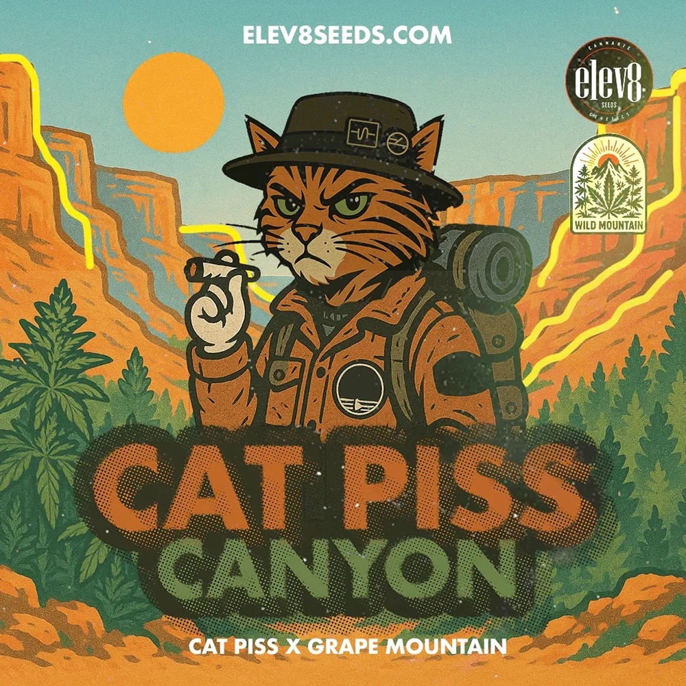 Cat Piss Canyon Artwork Sorten-Illustration Cat Piss Canyon von Elev8 Seeds mit Katzen-Motiv