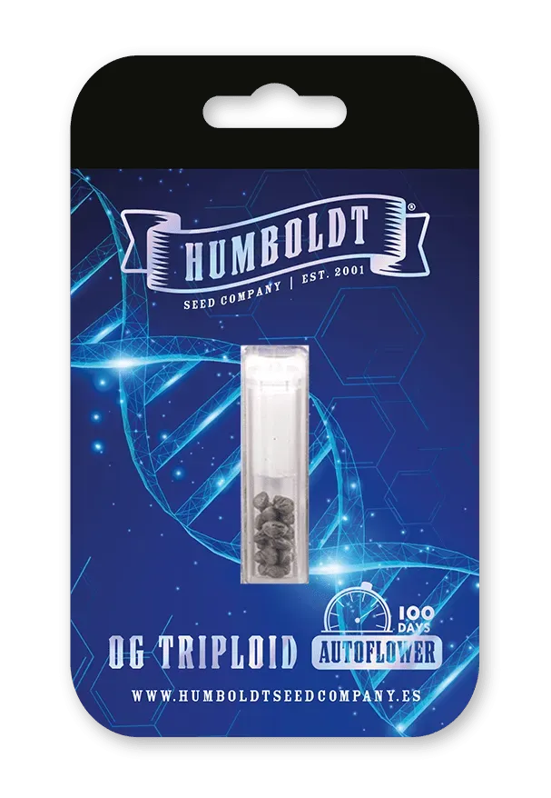 OG Triploid Autoflower Verpackung Blisterverpackung OG Triploid Autoflower von Humboldt Seed Company