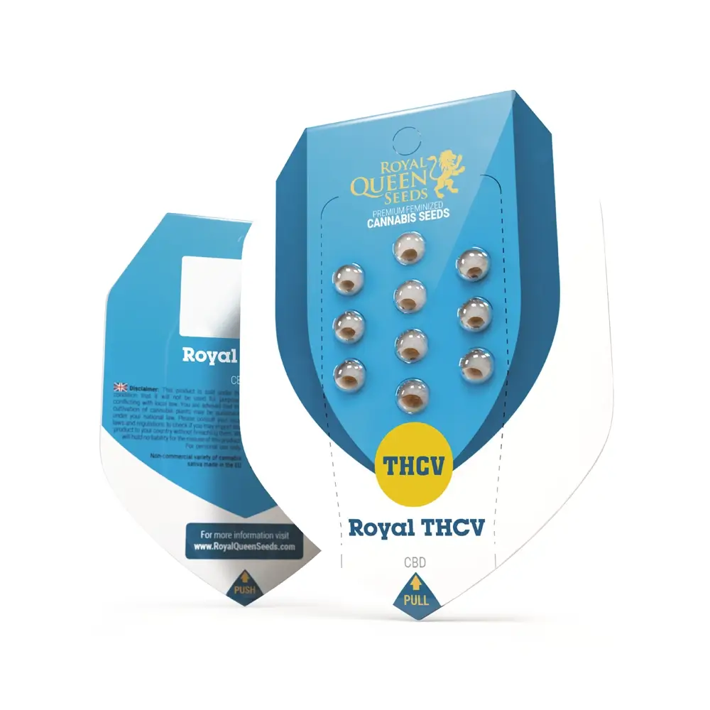 Royal THCV Verpackung Blaue Royal Queen Seeds Verpackung Royal THCV mit Samen im Blister