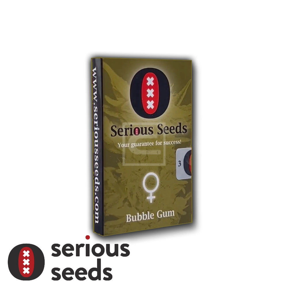 Bubble Gum | Feminisierte Cannabissamen von Serious Seeds