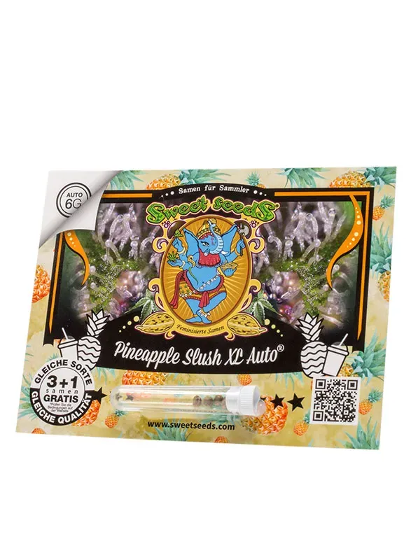 Pineapple Slush XL Auto | Autoflowering Hanfsamen von Sweet Seeds