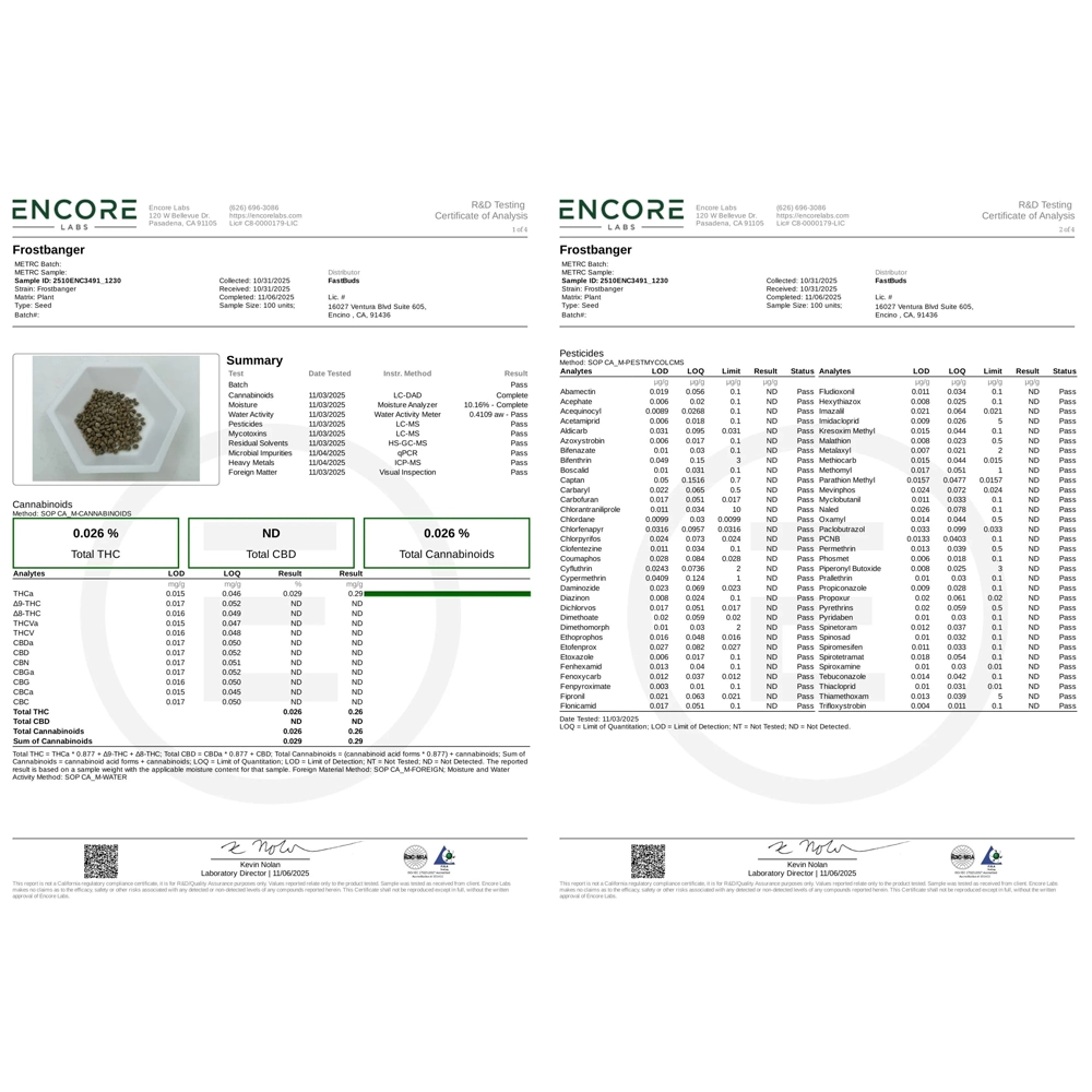 Frostbanger Auto | Autoflowering Hanfsamen von Fast Buds