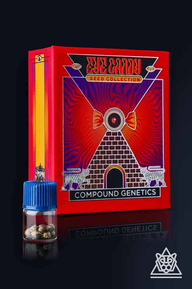 Mr Jones | Feminisierte Cannabissamen von Compound Genetics | 7 Samen Mr Jones | Feminisierte Cannabissamen von Compound Genetics | 7 Samen