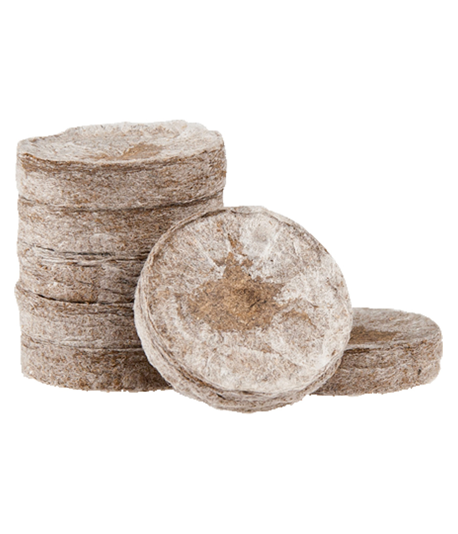 Jiffy Torfquelltopf 3,6 cm Growversand stecklingsequipment jiffys einzeln